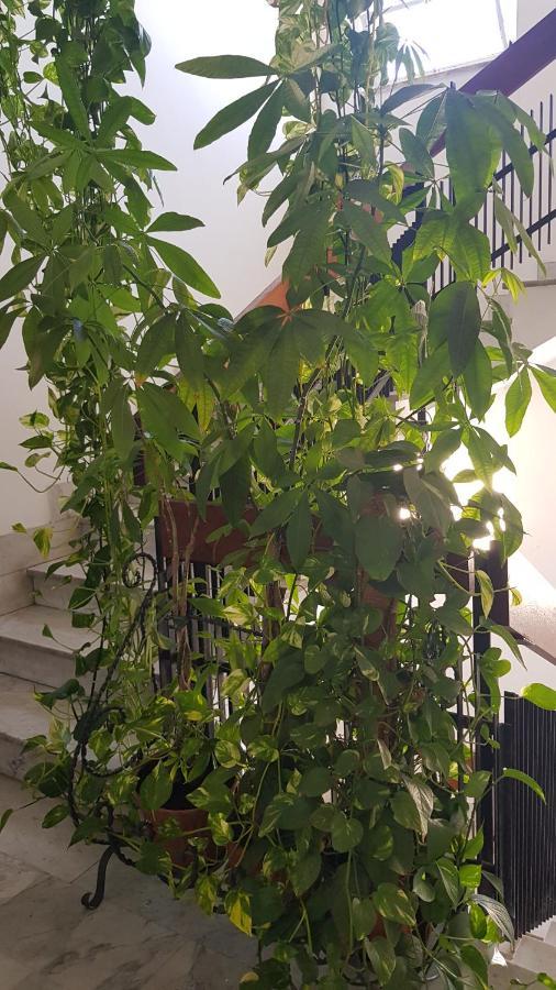 Amanda'S Panorama Apartment Таранто Екстериор снимка
